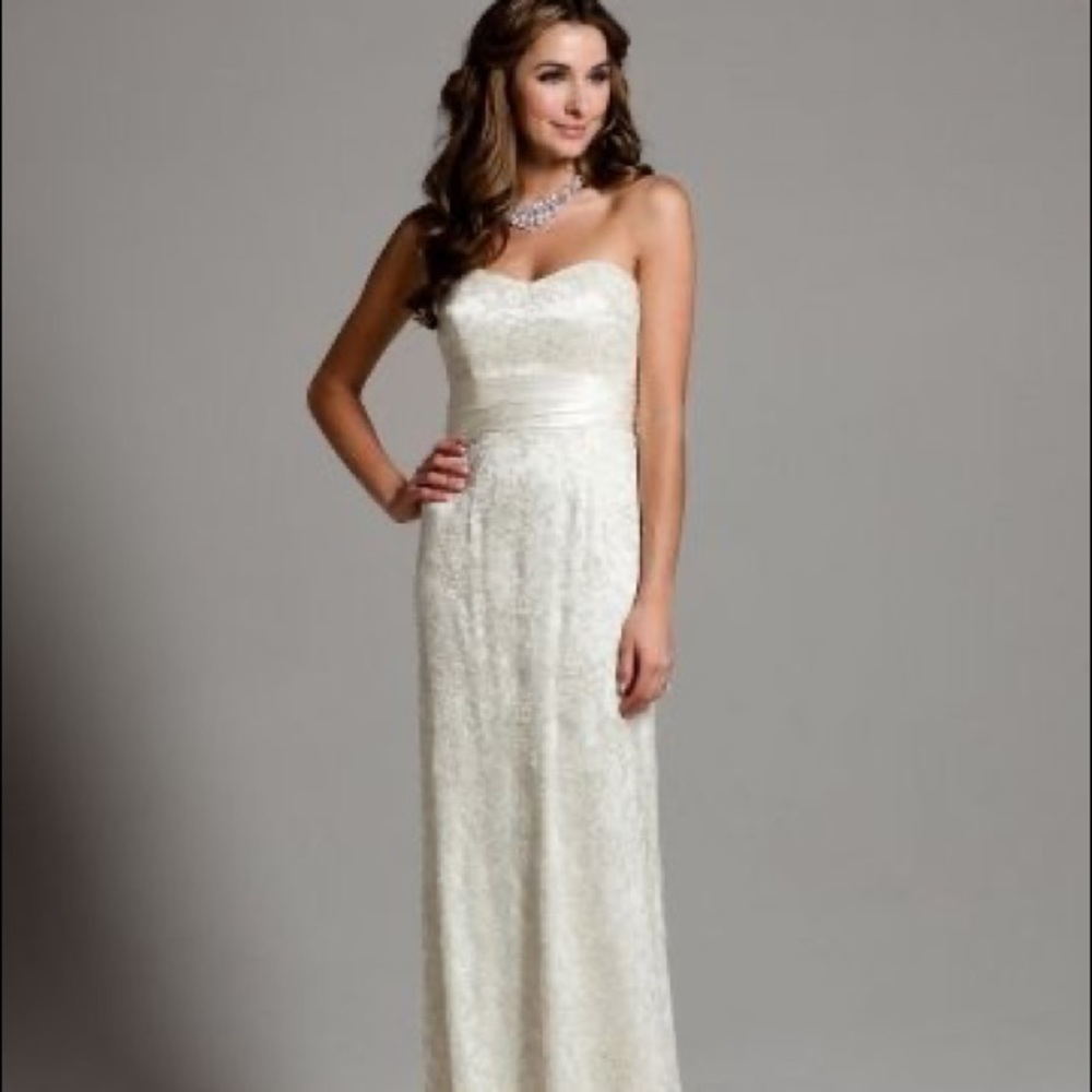 NWT Badgley Mischka Cream and Metallic Lace Dress